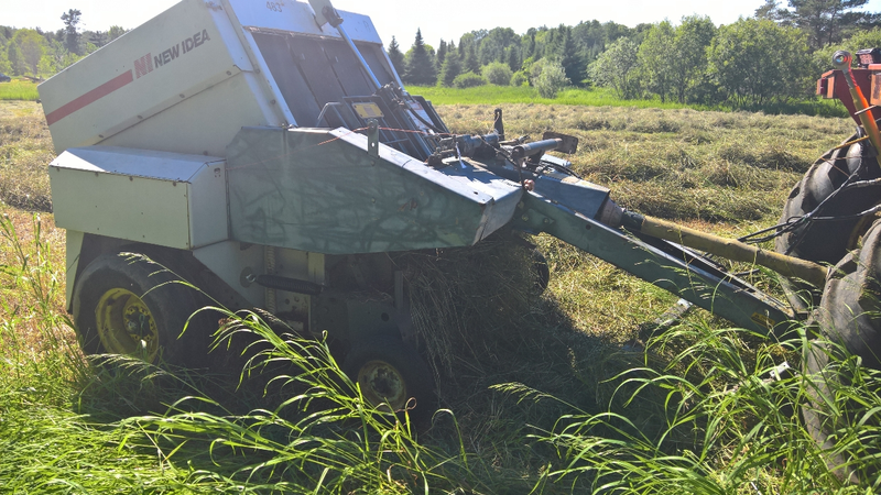 Barf! I’m too full of hay because you drove too fast!